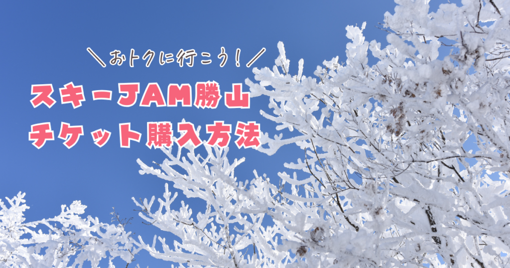ブログ画像-79-1024x538.png